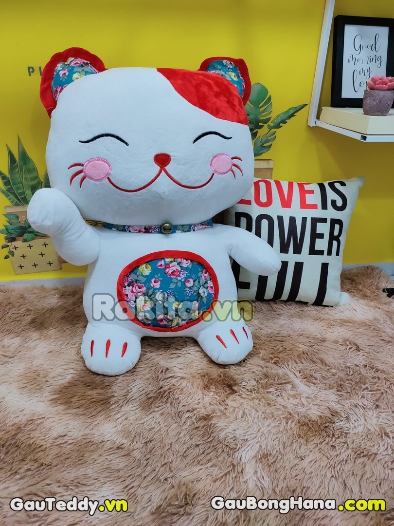 Mèo Bông Trắng Aó Hoa